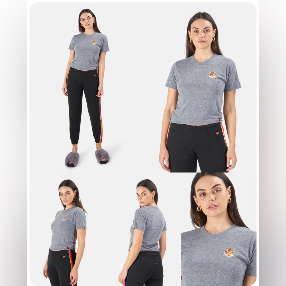 Aviator Nation Tiger Boyfriend Tee